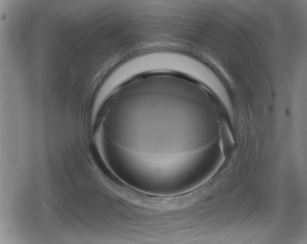 X0000080690023200612221104