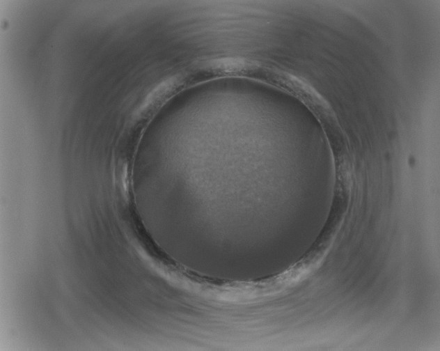 X0000080690024200612221104