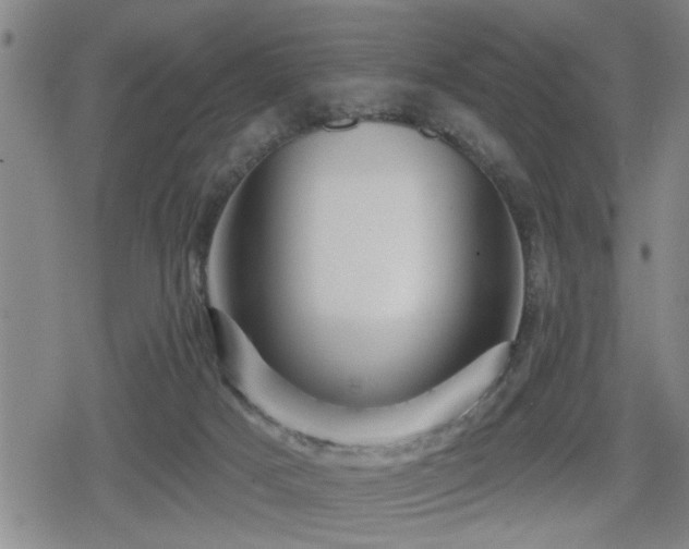 X0000080690025200612221104