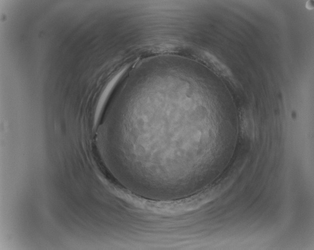 X0000080690026200612221104