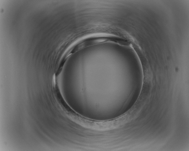 X0000080690027200612221104