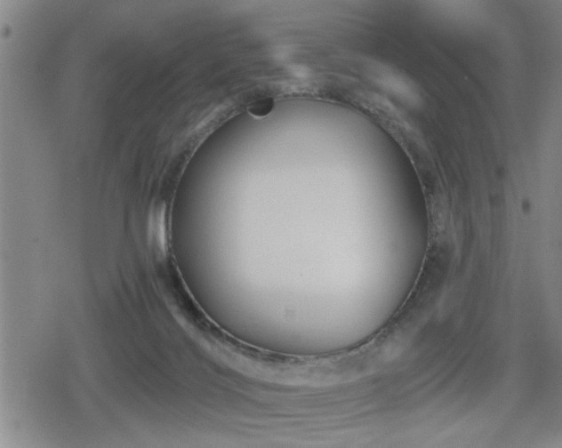 X0000080690028200612221104