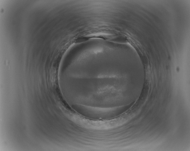 X0000080690030200612221104