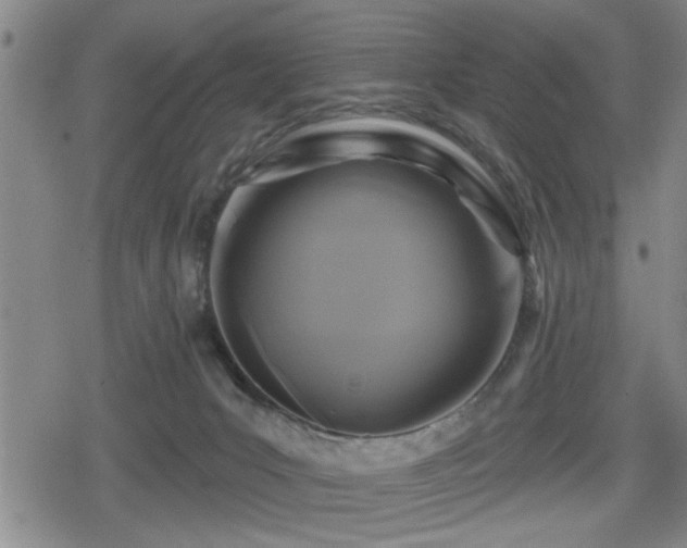 X0000080690031200612221104