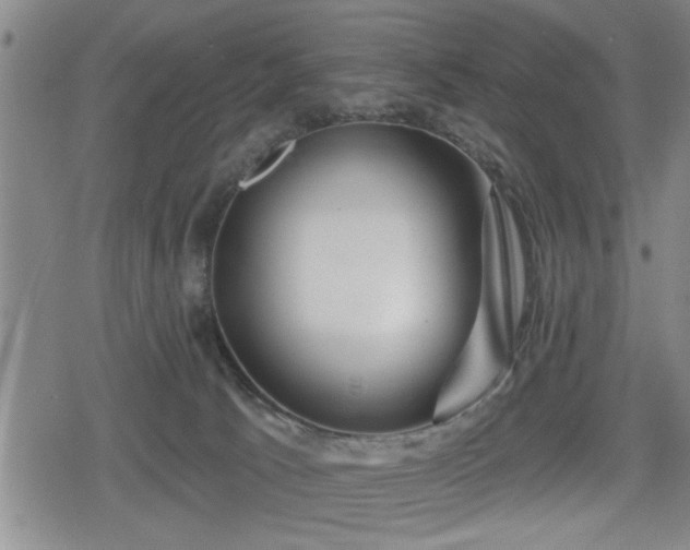 X0000080690033200612221104