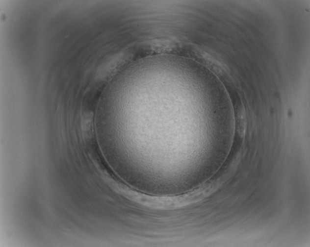 X0000080690034200612221104