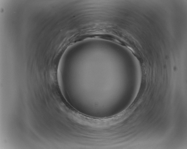 X0000080690035200612221104