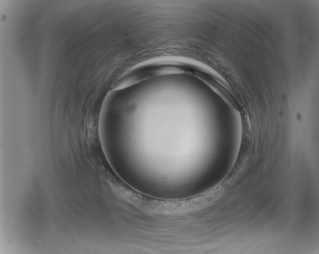 X0000080690037200612221104