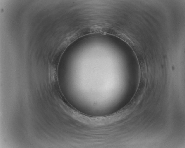 X0000080690038200612221104