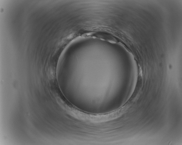 X0000080690039200612221103