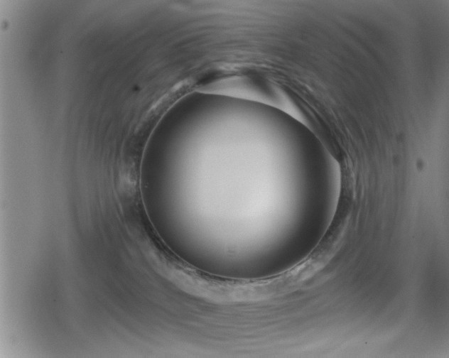 X0000080690040200612221103