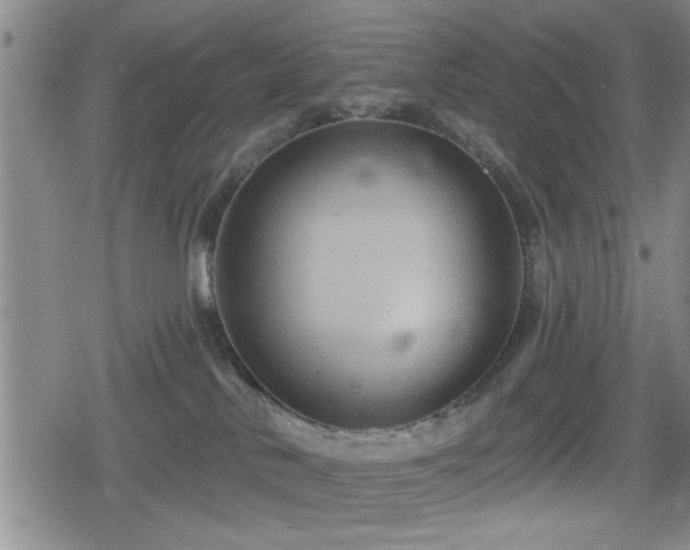 X0000080690042200612221103