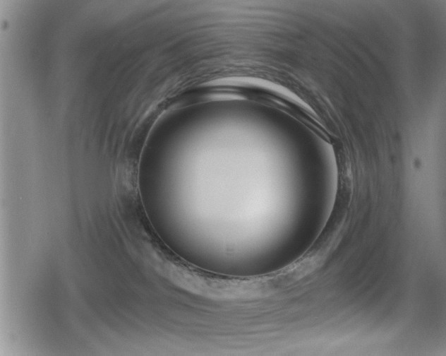 X0000080690044200612221103