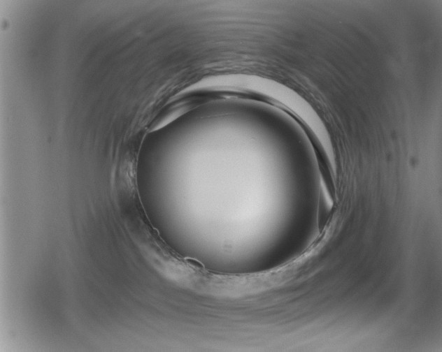 X0000080690045200612221103