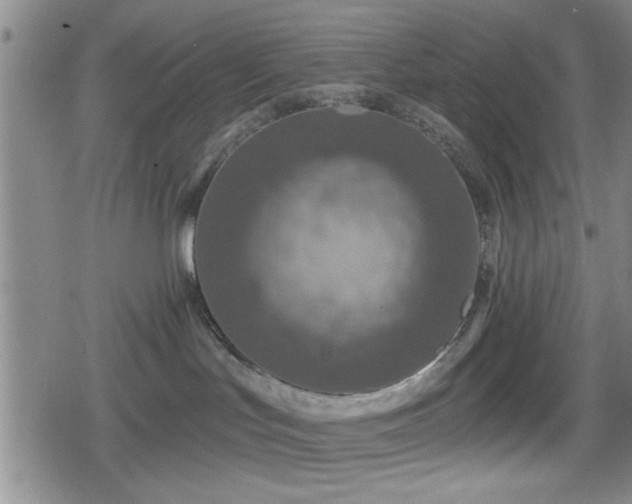 X0000080690047200612221103