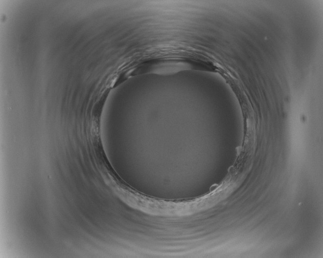 X0000080690048200612221103