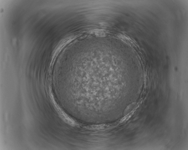 X0000080690049200612221103