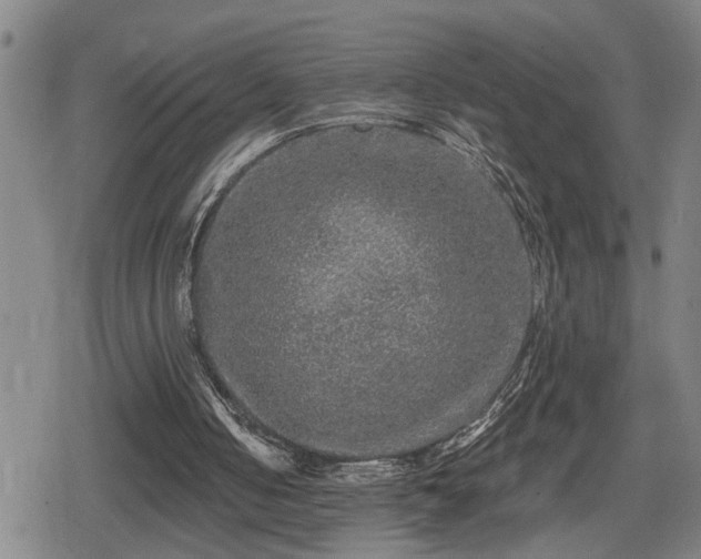 X0000080690050200612221103