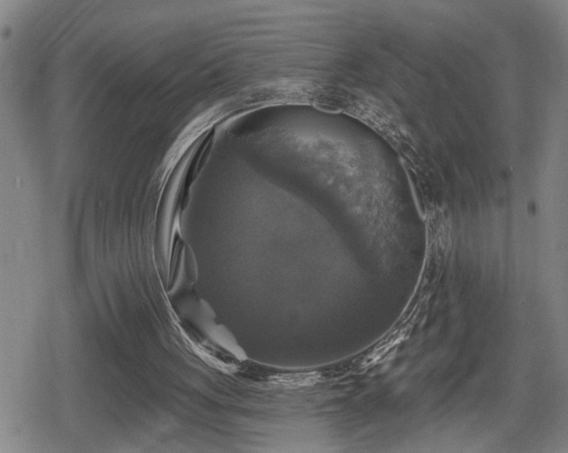 X0000080690051200612221103