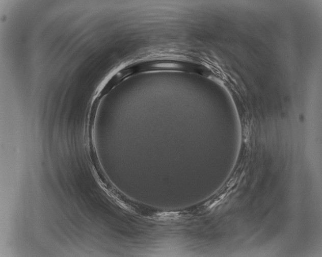 X0000080690052200612221103