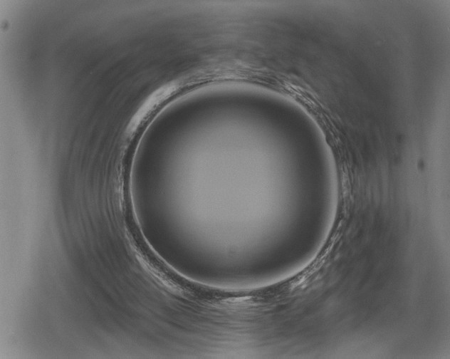 X0000080690054200612221103