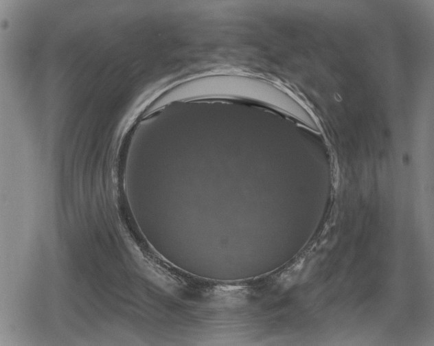 X0000080690055200612221103