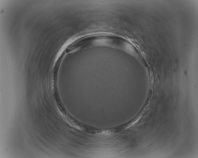 X0000080690056200612221103