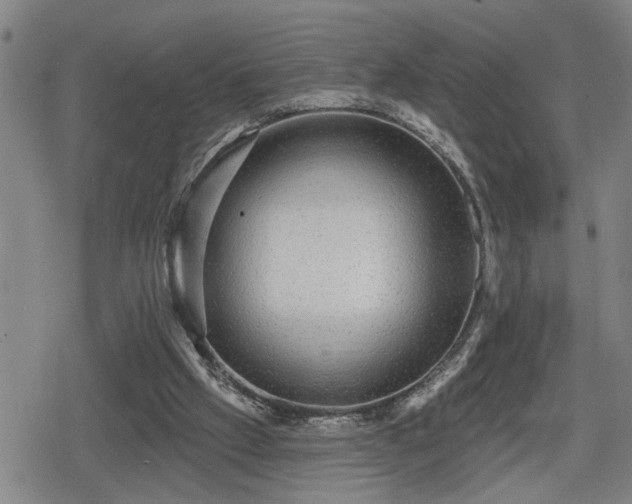 X0000080690057200612221103