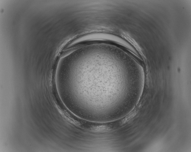 X0000080690058200612221103