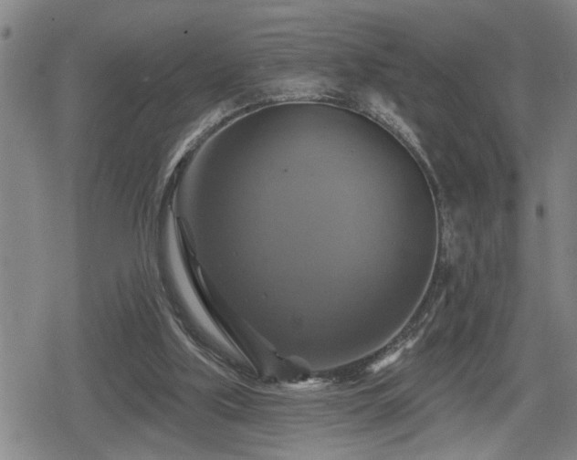 X0000080690059200612221103