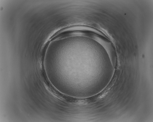 X0000080690060200612221103