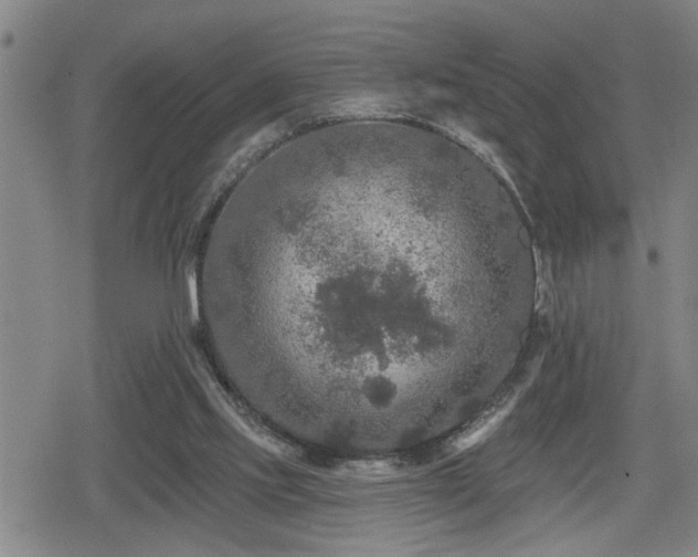 X0000080690061200612221103