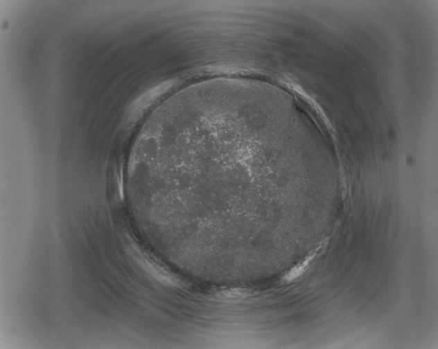 X0000080690062200612221103