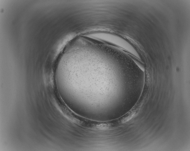 X0000080690064200612221103