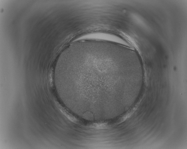 X0000080690065200612221103