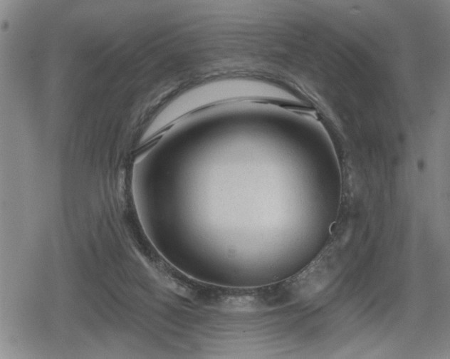 X0000080690066200612221103