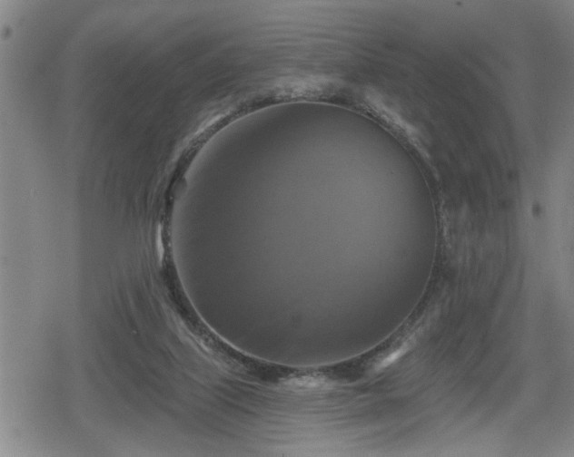 X0000080690067200612221103