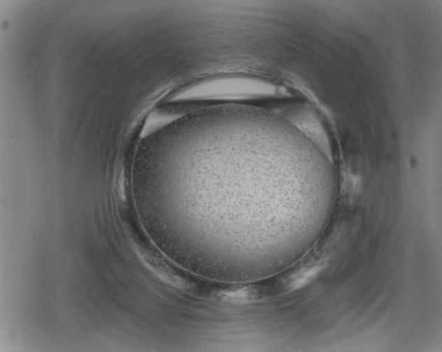 X0000080690068200612221103