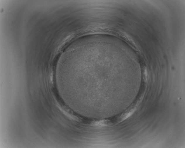 X0000080690072200612221103