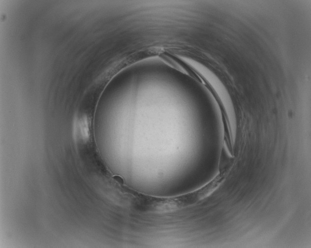 X0000080690075200612221103