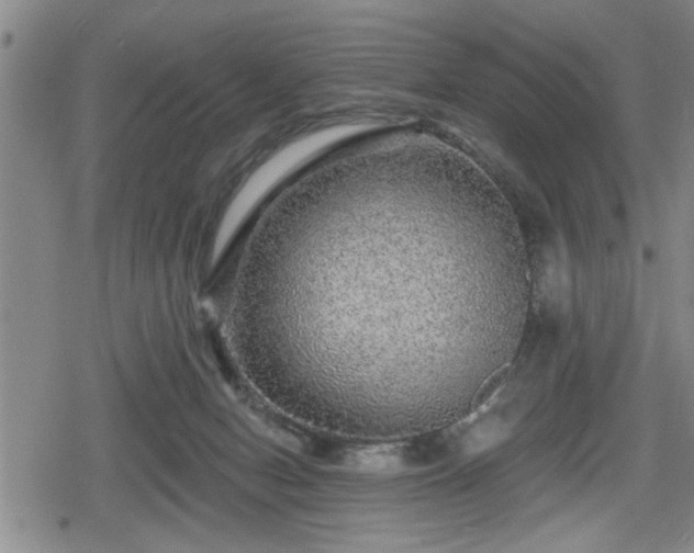 X0000080690078200612221103