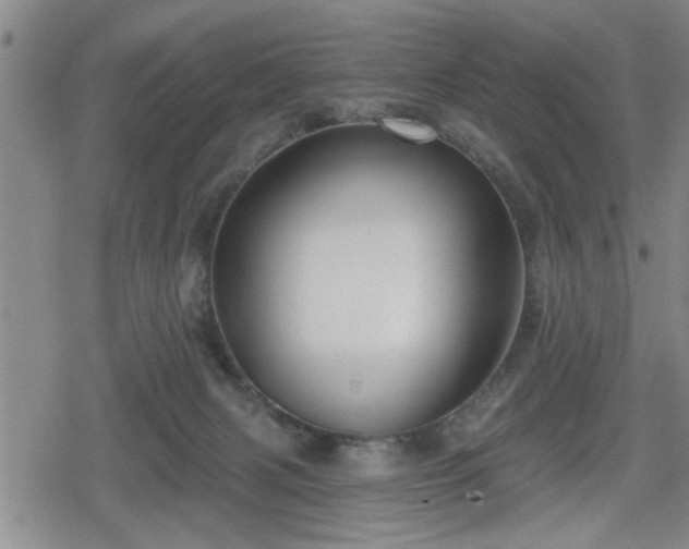 X0000080690079200612221103