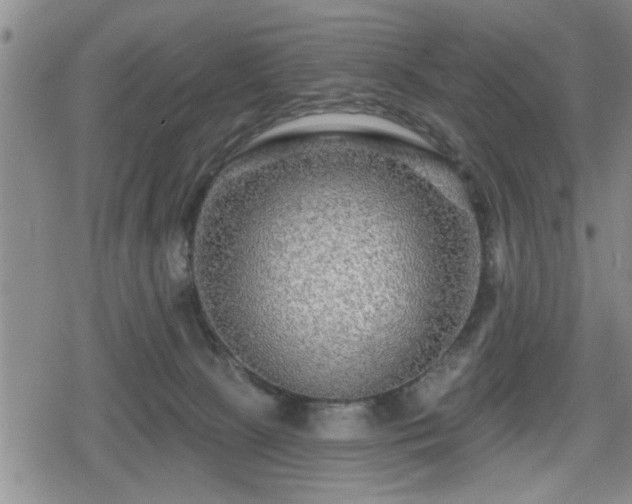 X0000080690081200612221103