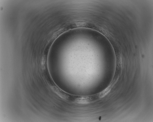 X0000080690082200612221103