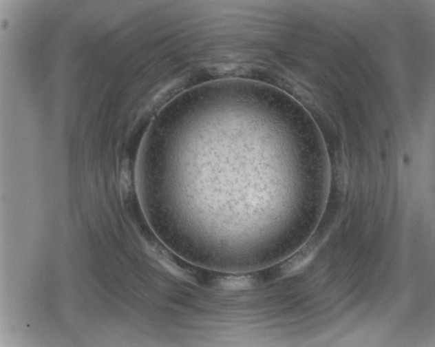 X0000080690085200612221103