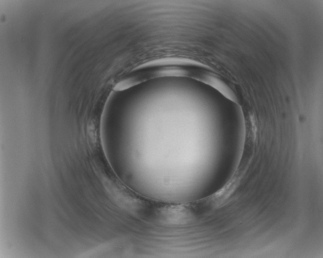 X0000080690086200612221103