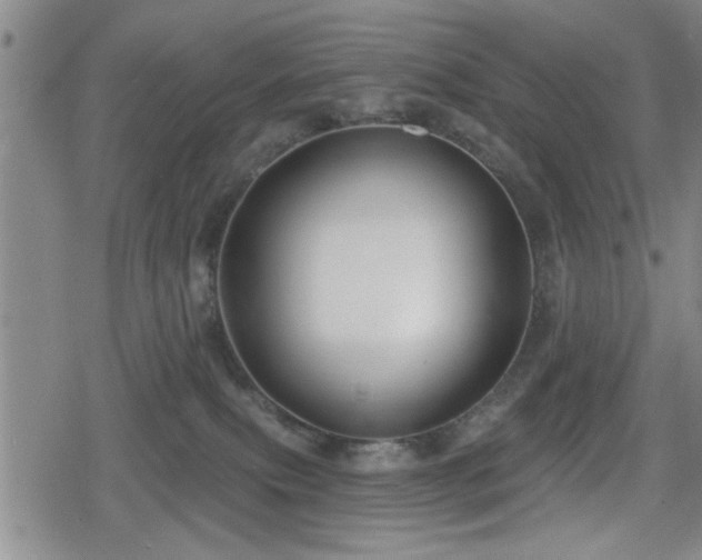 X0000080690087200612221103