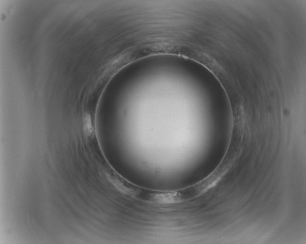 X0000080690089200612221103