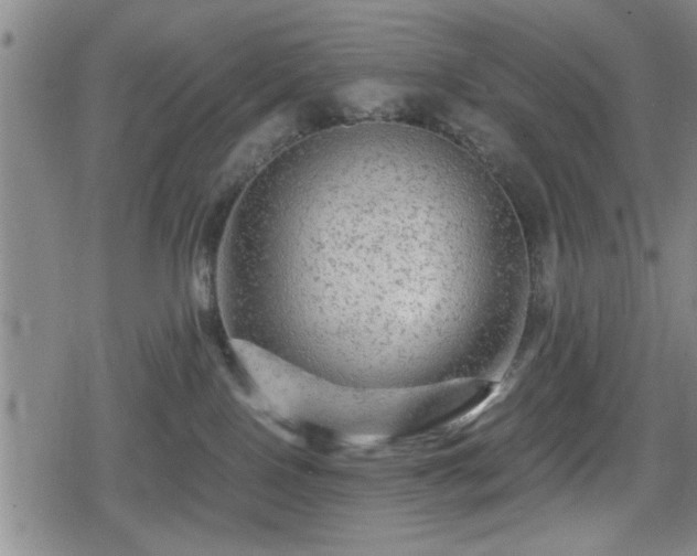 X0000080690090200612221103