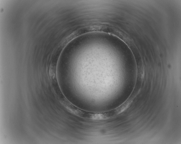 X0000080690091200612221103